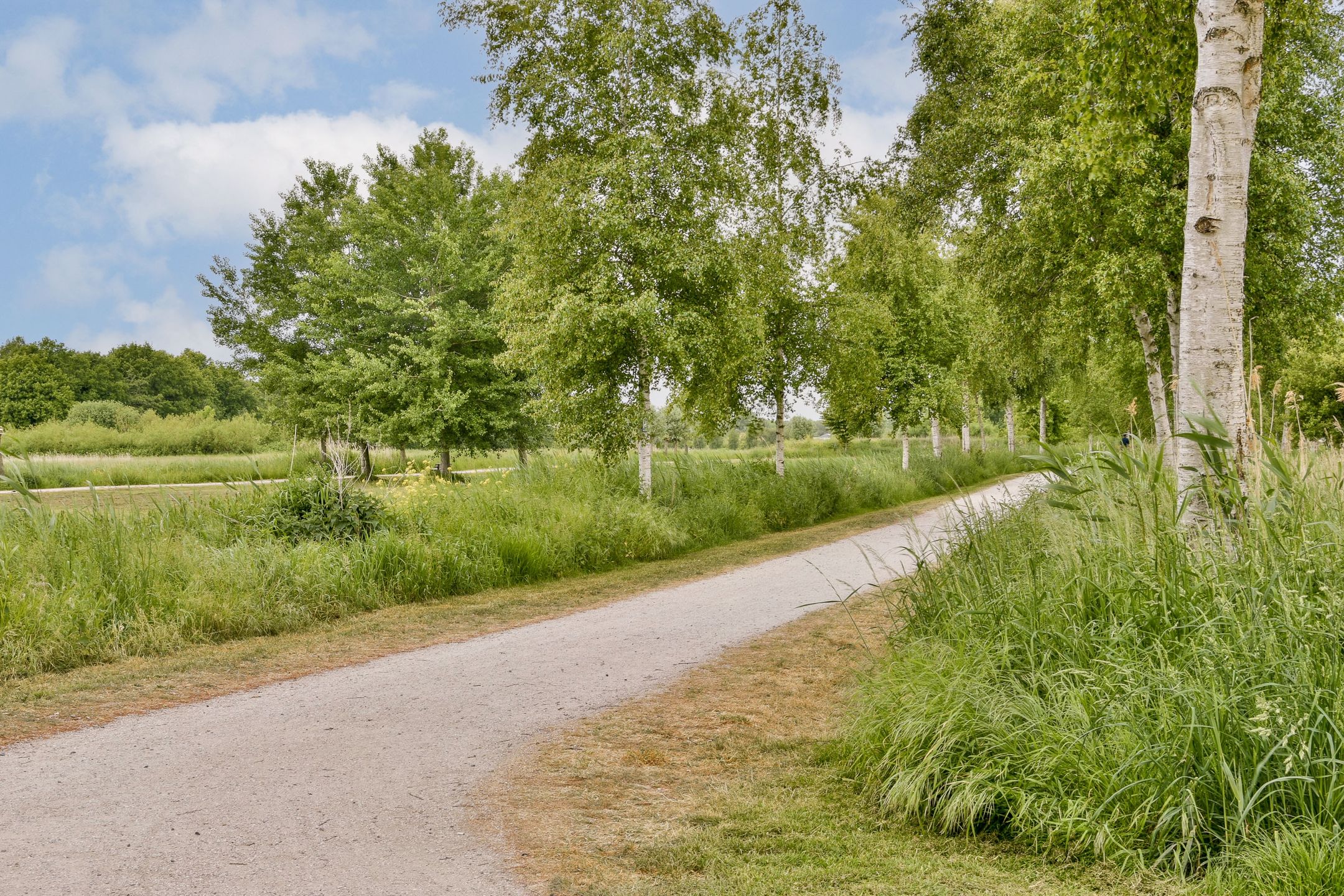 Foto 36 van Zwartemeer 2