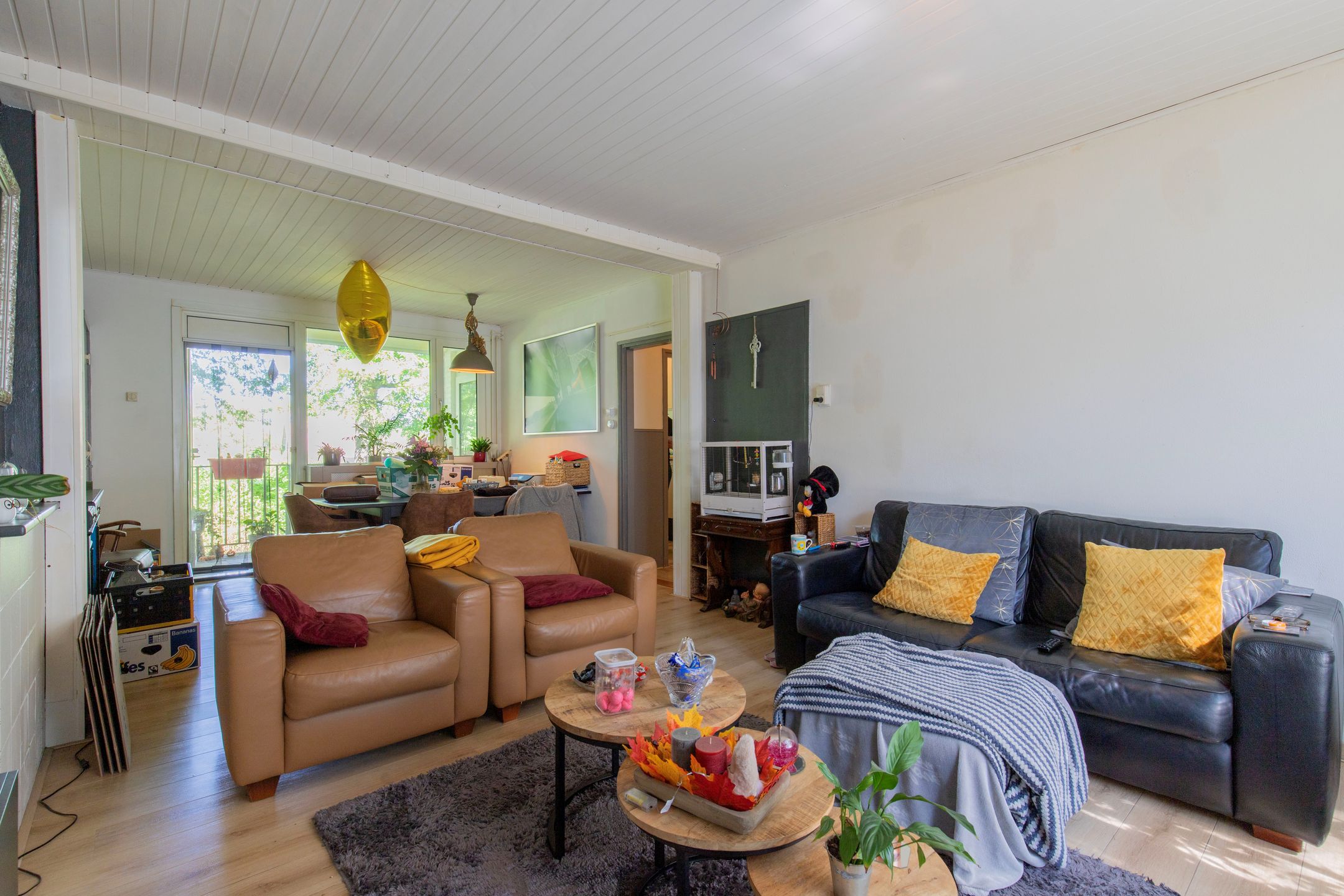 Foto 12 van Dr. Nolenslaan 50