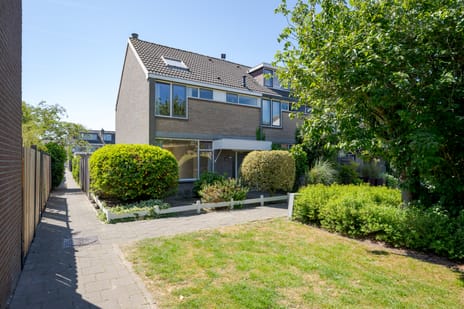 undefined main image