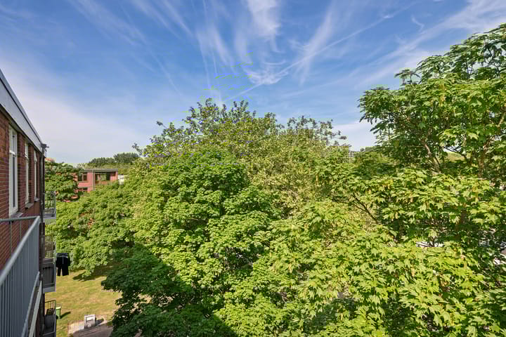 Foto 29 van Hondsdrafweg 26