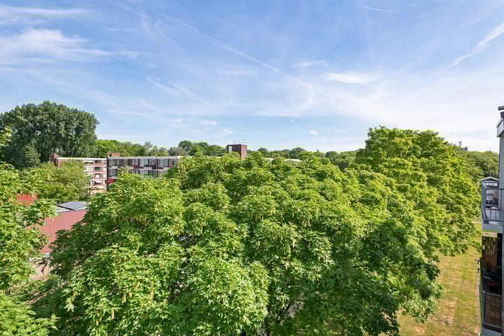 Foto 30 van Hondsdrafweg 26