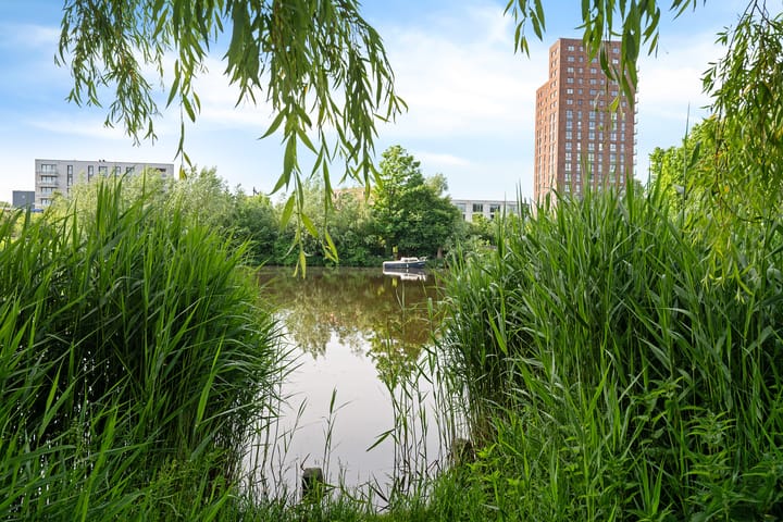 Foto 32 van Hondsdrafweg 26