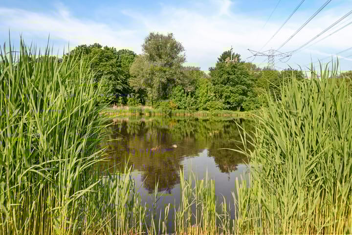 Foto 36 van Hondsdrafweg 26