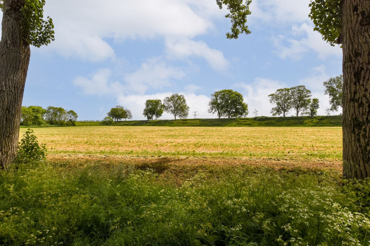 Foto 25 van Henriëtte Roland Holst-erf 68