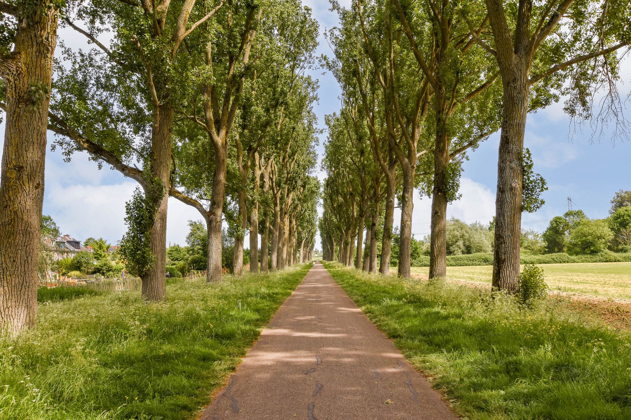 Foto 24 van Henriëtte Roland Holst-erf 68