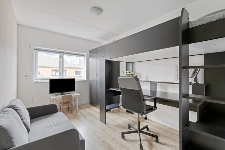 Foto 15 van Heivlinder 10