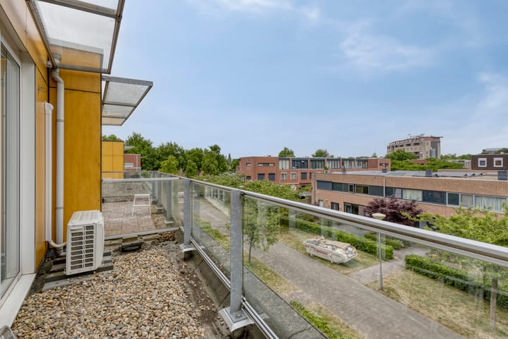 Foto 23 van Heivlinder 10