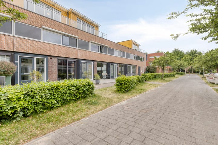 Foto 28 van Heivlinder 10