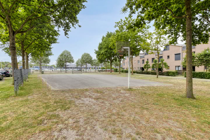 Foto 29 van Heivlinder 10