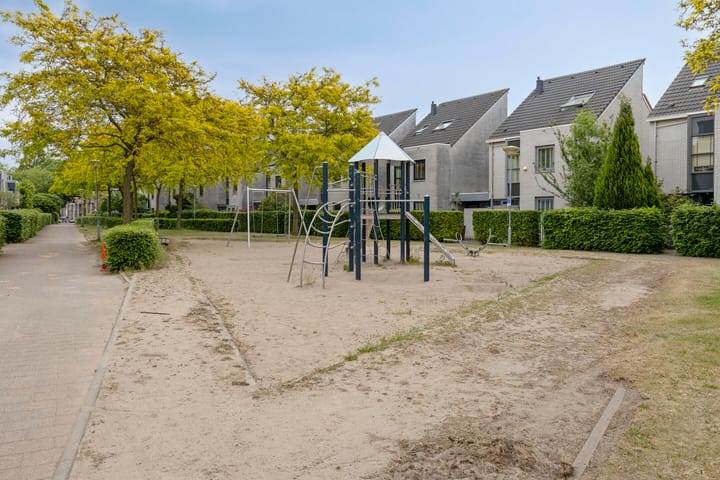 Foto 30 van Heivlinder 10