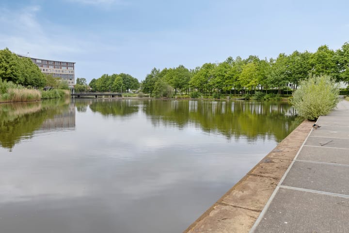 Foto 31 van Heivlinder 10