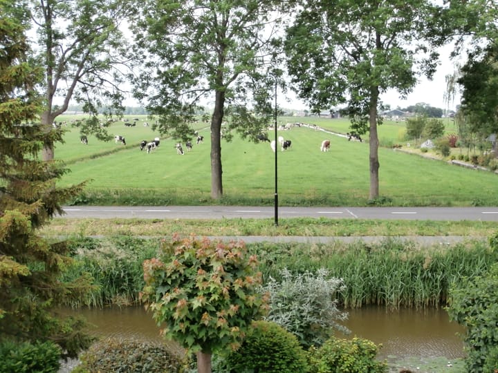 Foto 11 van Windmolen 14