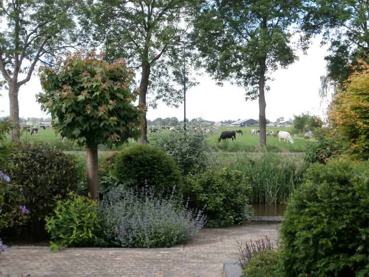 Foto 36 van Windmolen 14