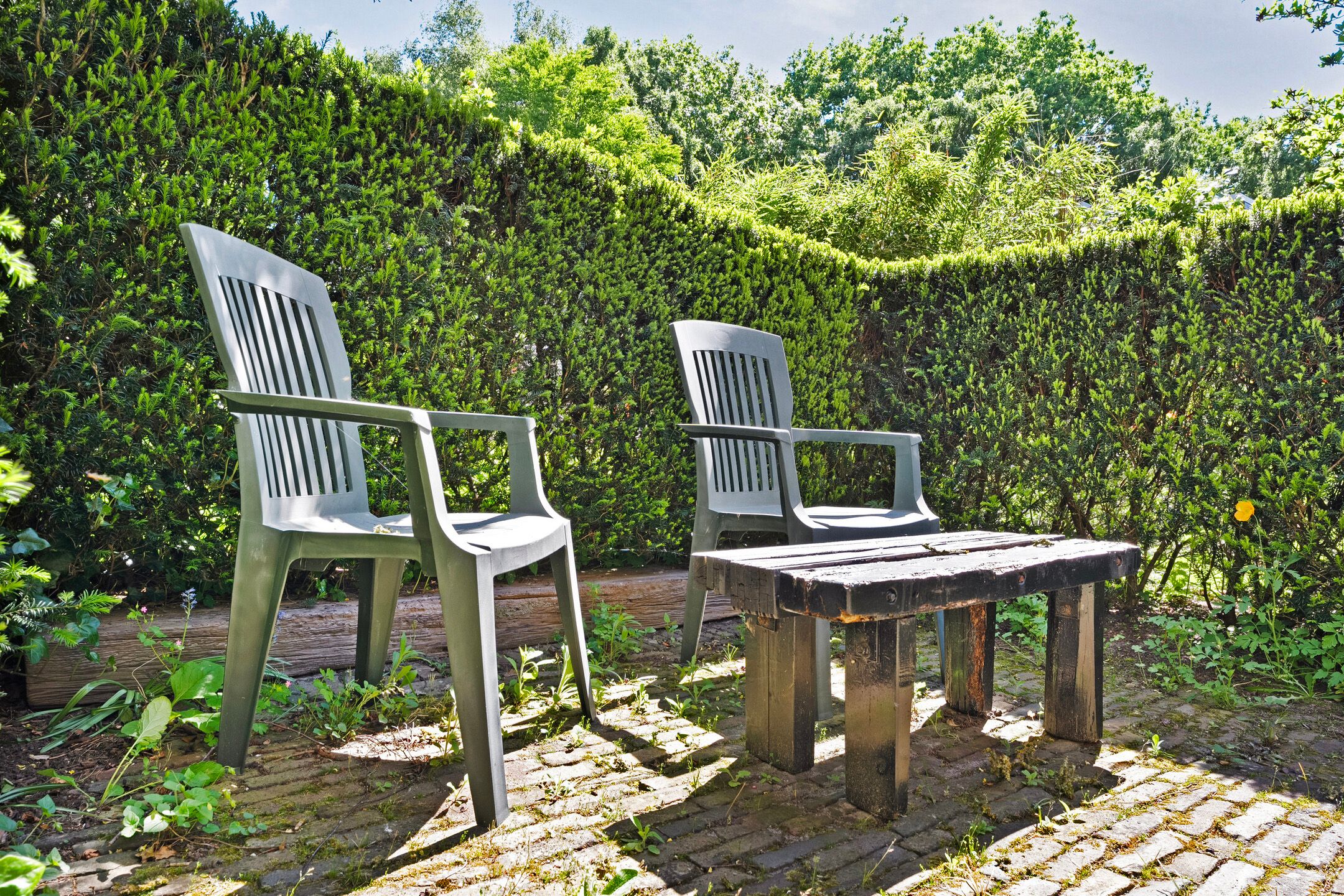 Foto 33 van Tweeloo 19