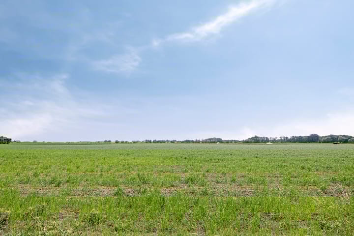 Foto 23 van Schepenlaan 24