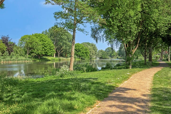 Foto 5 van Zwaanwijk 12