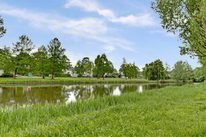 Foto 30 van Thomaslaan 6