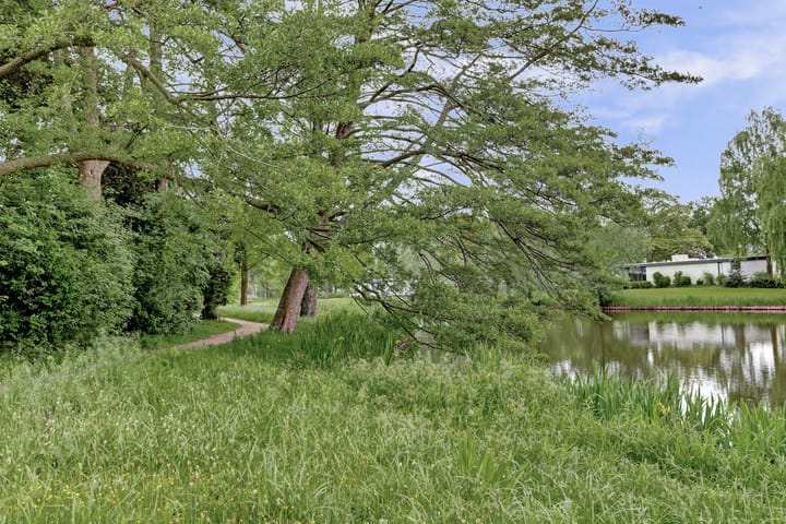 Foto 31 van Thomaslaan 6