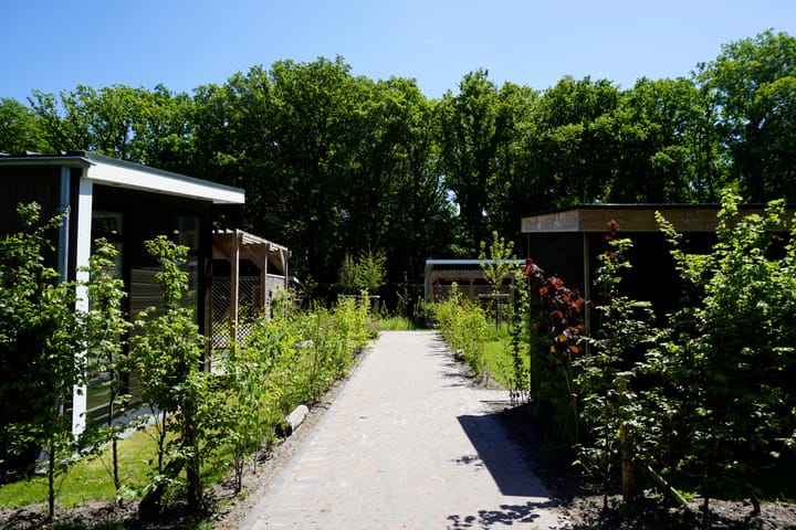 Photo 32 of Langwarderdyk 4-0013