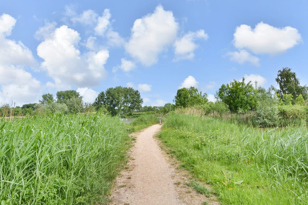 Foto 46 van Pastoor Verburchweg 2