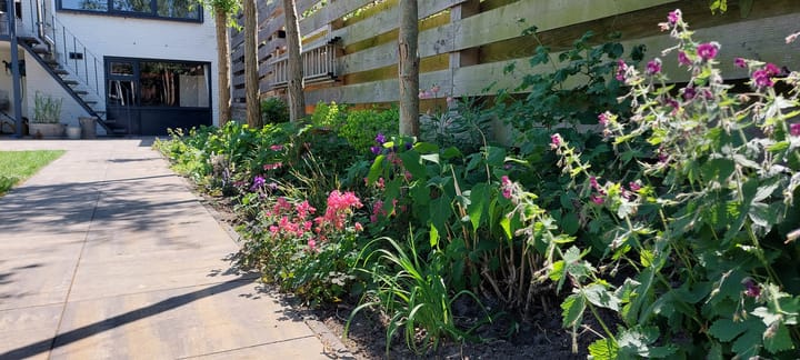 Photo 53 of Kerkdreef 29