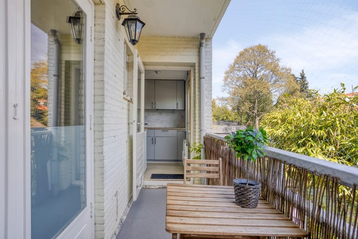 Foto 18 van Bosdrift 265