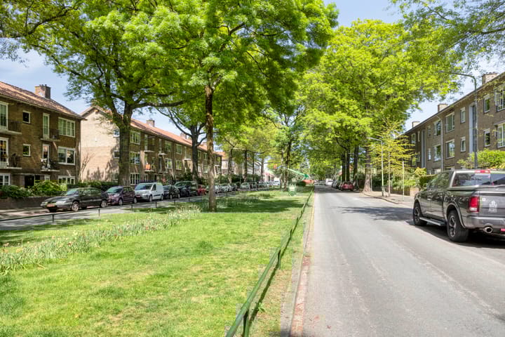 Foto 23 van Bosdrift 265