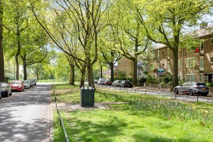 Foto 24 van Bosdrift 265