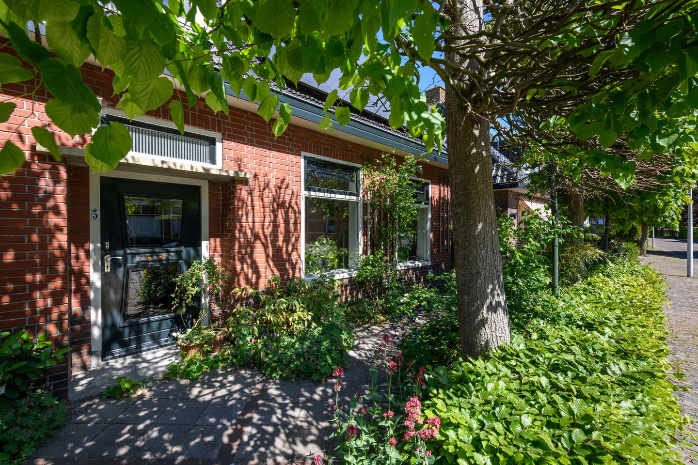 Foto 5 van Greate Buorren 5