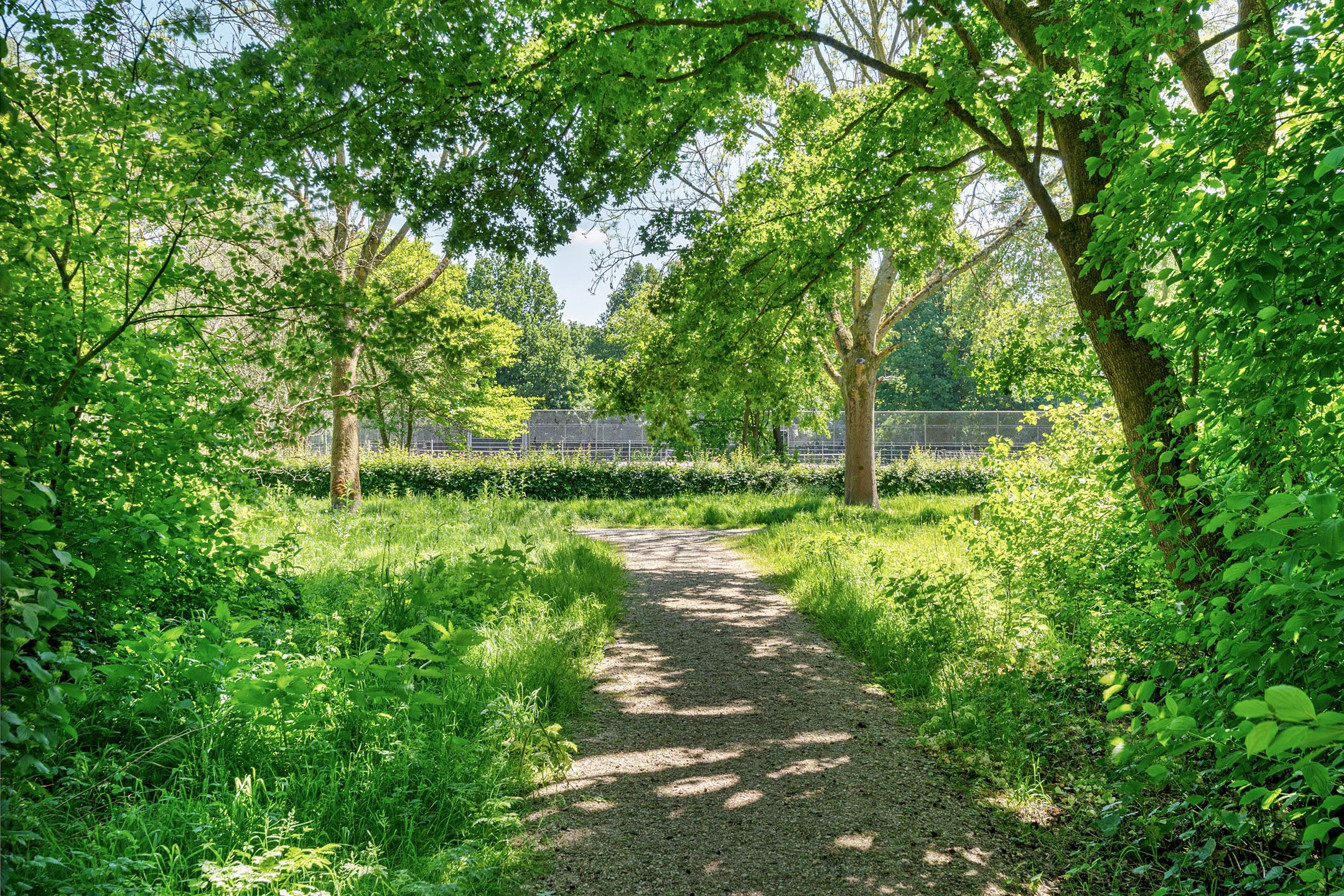 Foto 36 van Schipperstraat 38