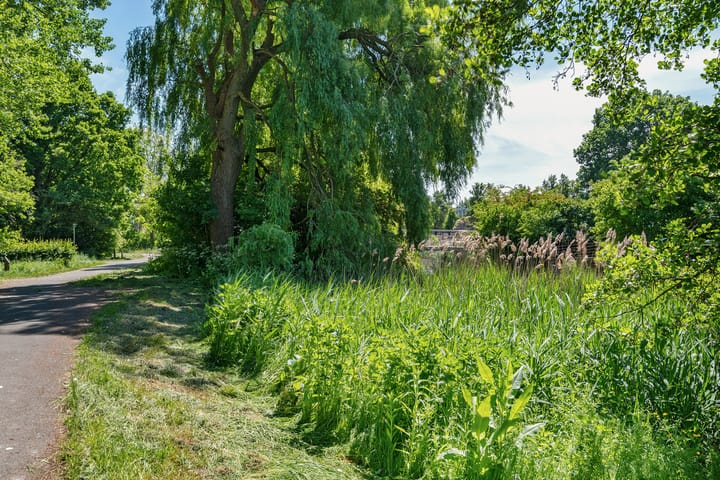 Foto 38 van Schipperstraat 38