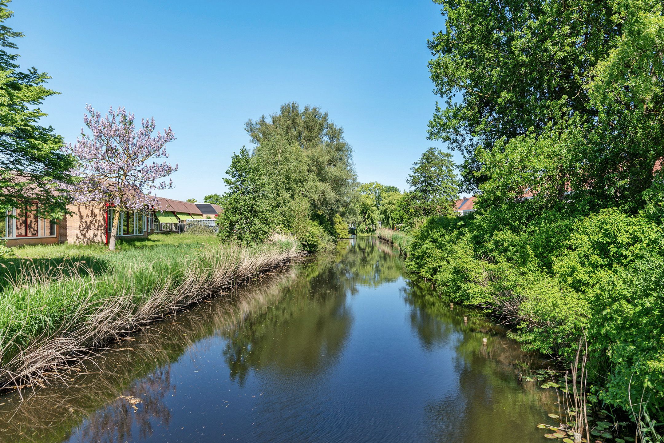 Foto 39 van Schipperstraat 38