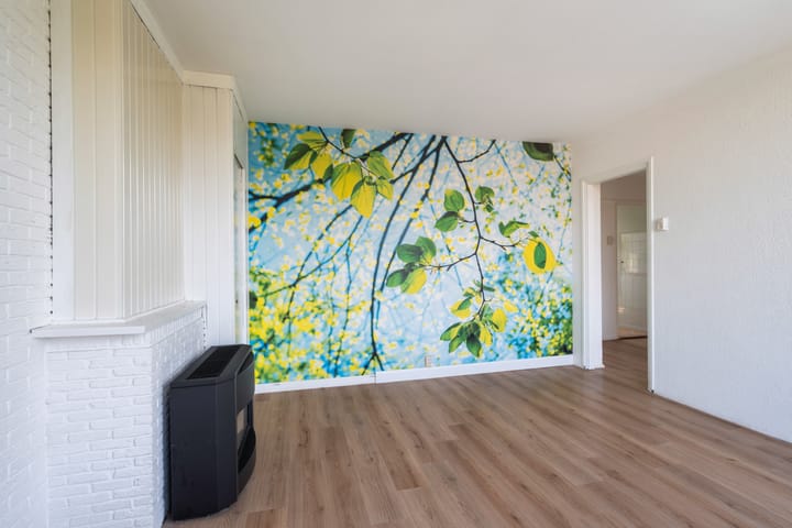 Photo 8 of Burgemeester Baumannlaan 99-C