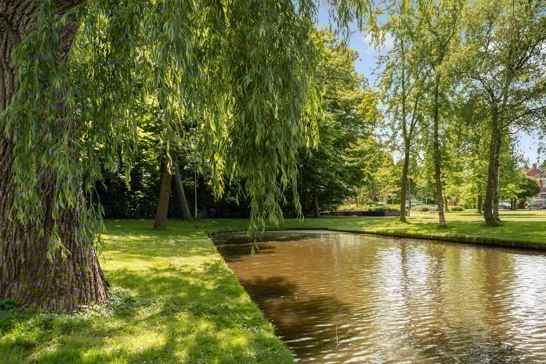 Foto 28 van Burgemeester Baumannlaan 99-C