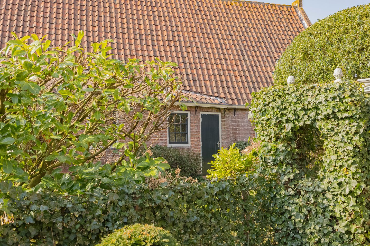 Foto 20 van Hoofdbuurtstraat 5