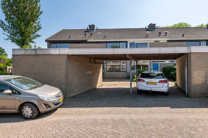 Foto 2 van Ganzebloem 2