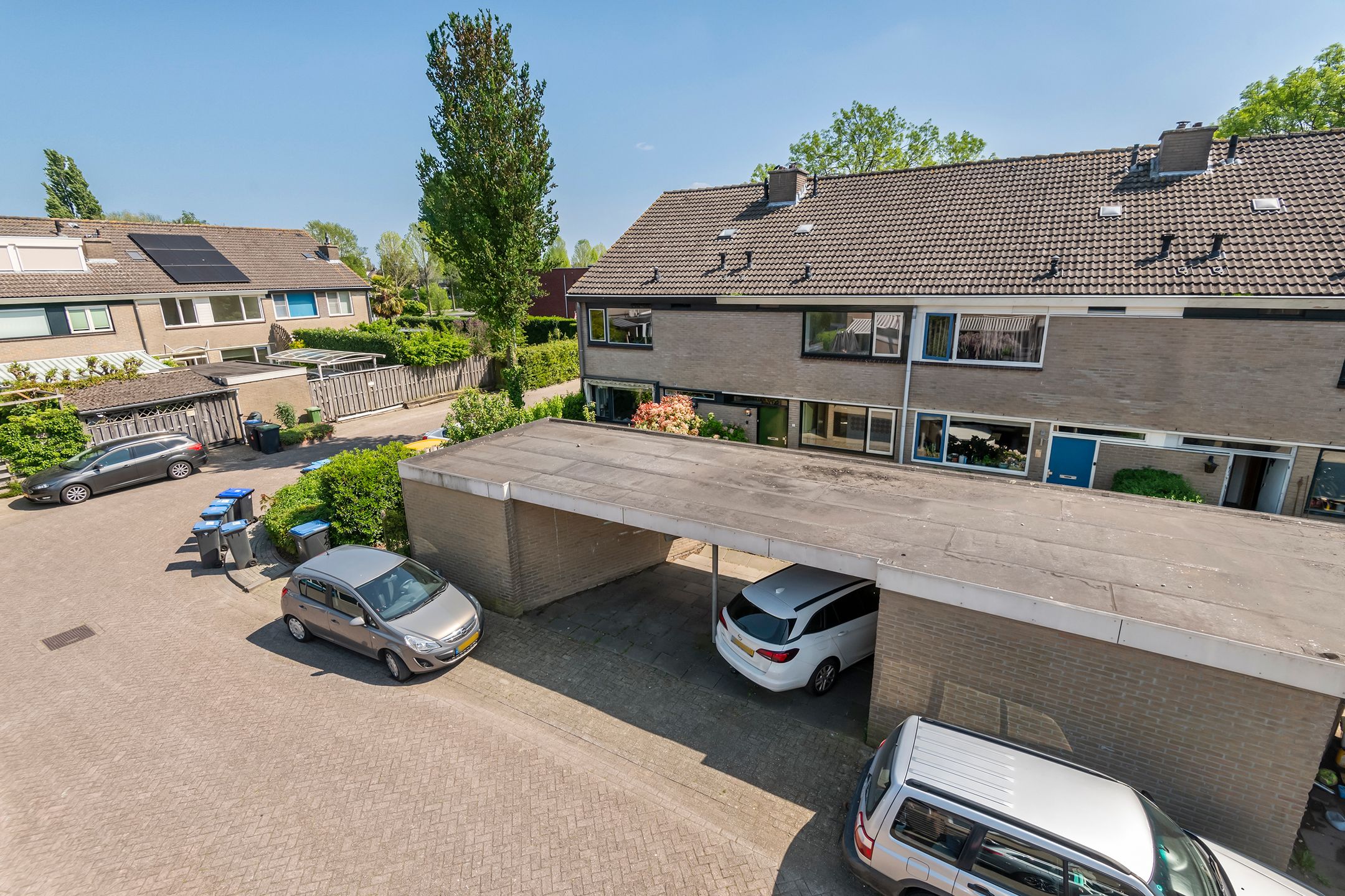 Foto 3 van Ganzebloem 2