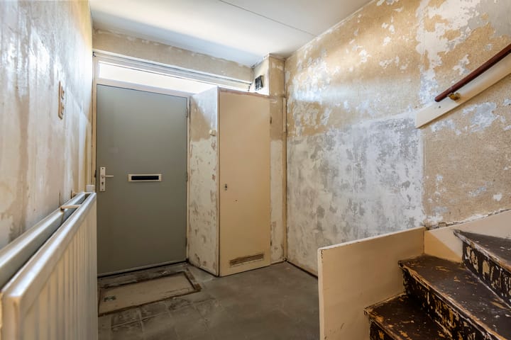 Foto 6 van Ganzebloem 2