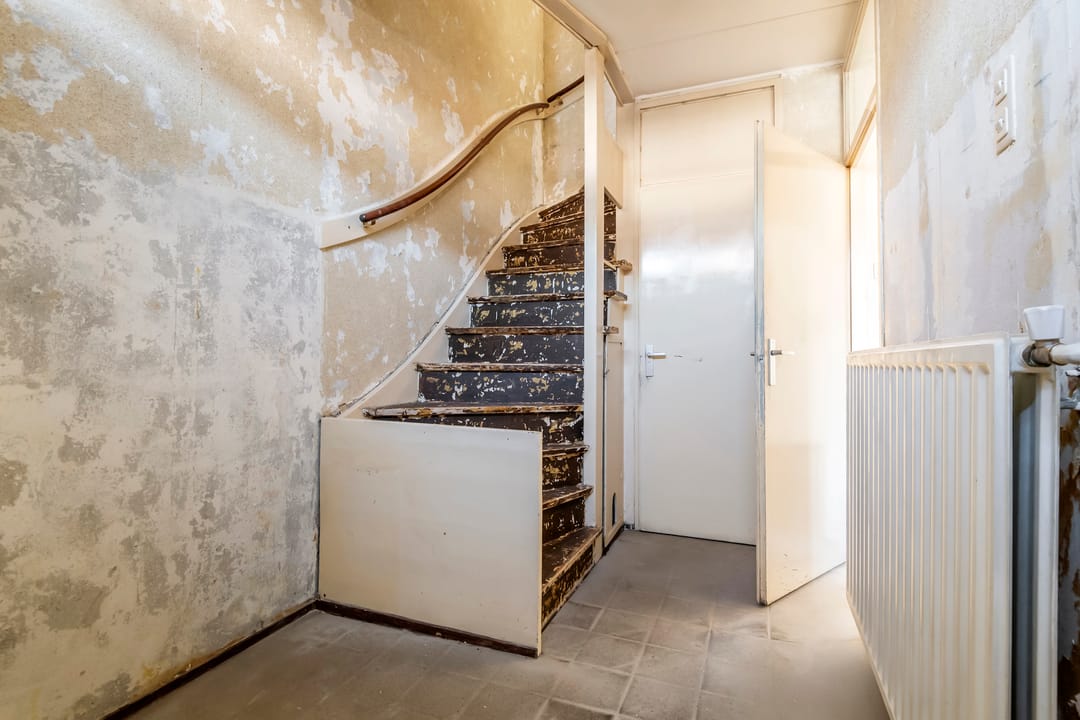 Foto 7 van Ganzebloem 2