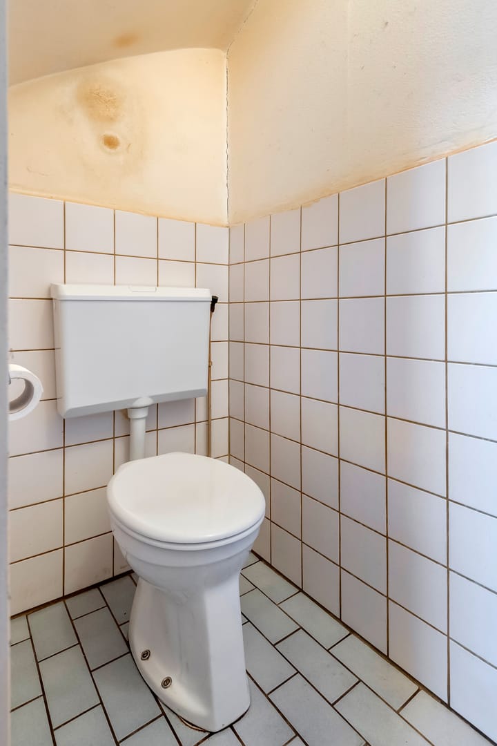 Foto 8 van Ganzebloem 2