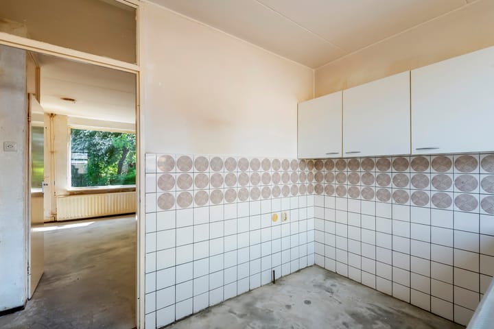 Foto 10 van Ganzebloem 2