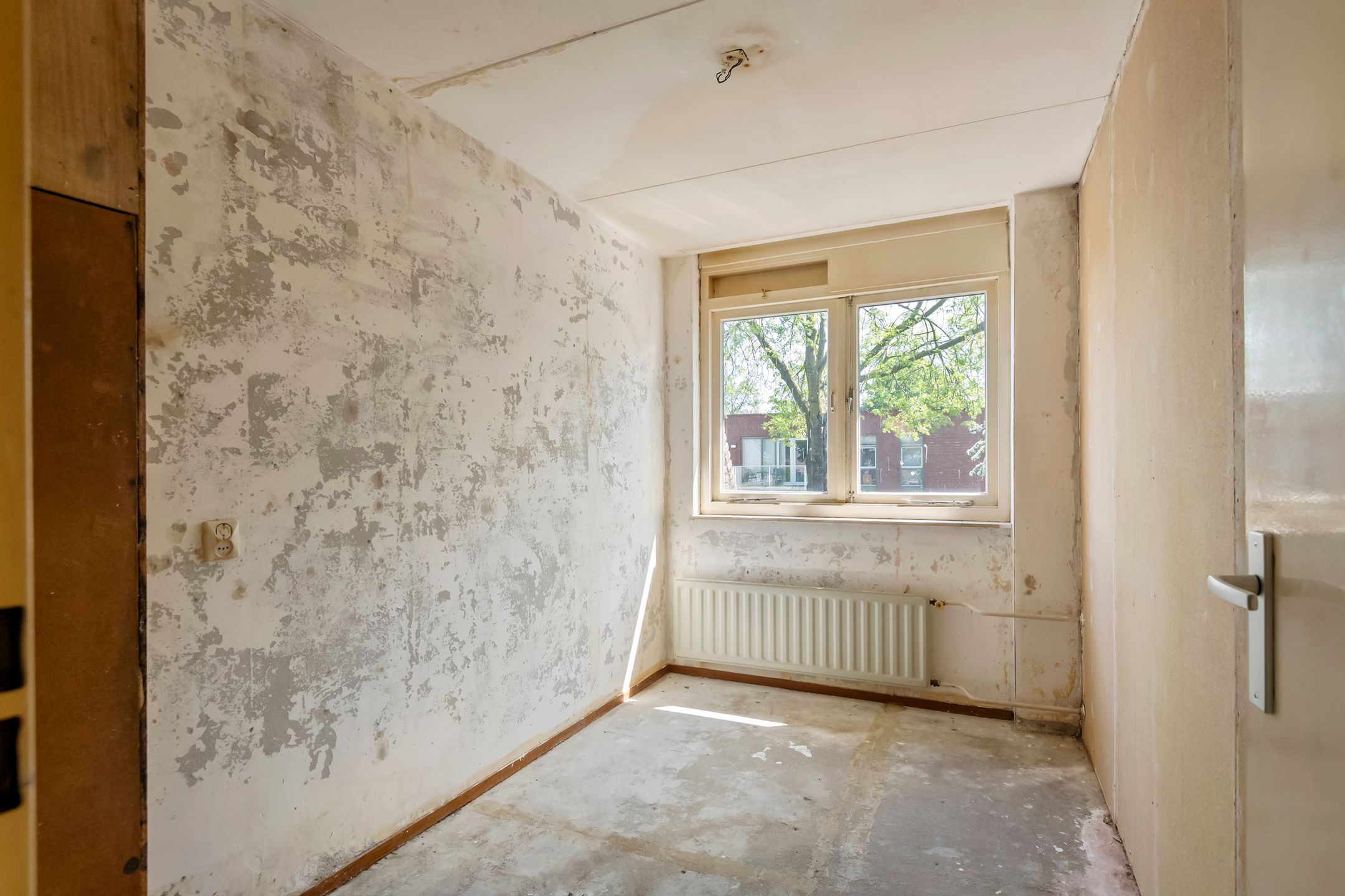 Foto 15 van Ganzebloem 2