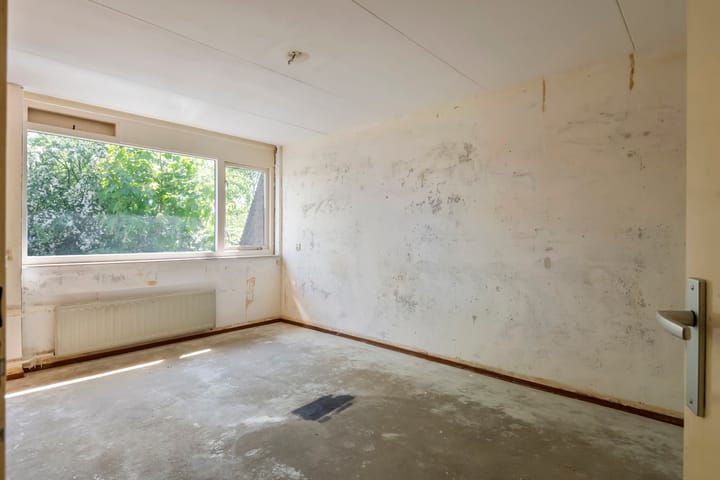 Foto 16 van Ganzebloem 2