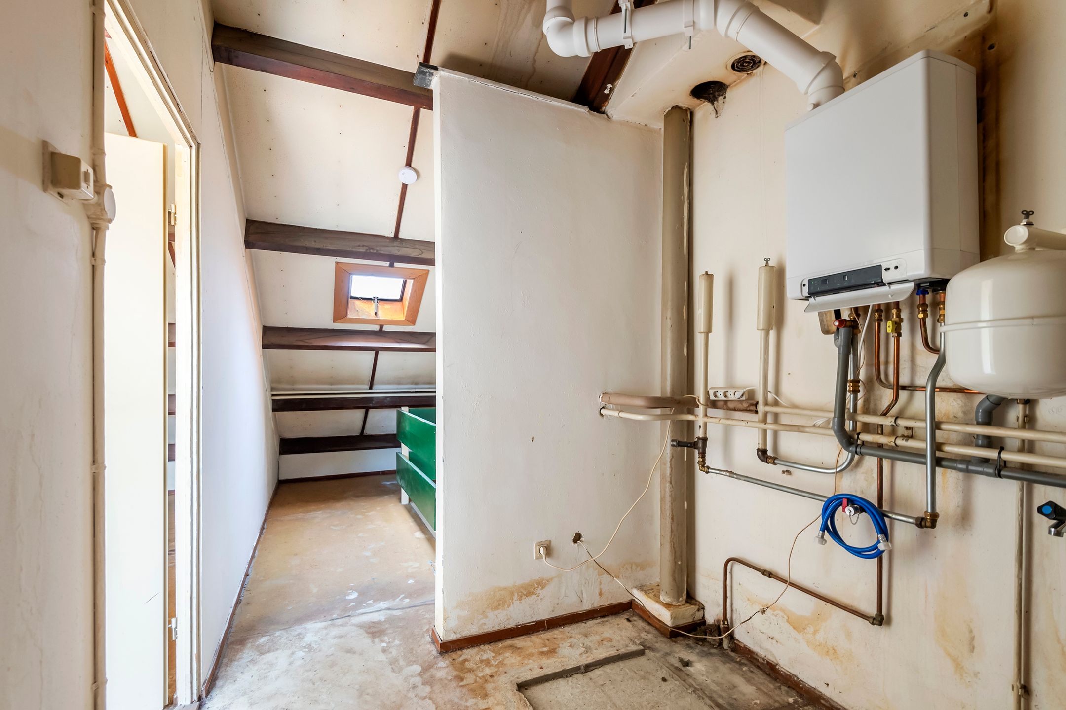 Foto 24 van Ganzebloem 2