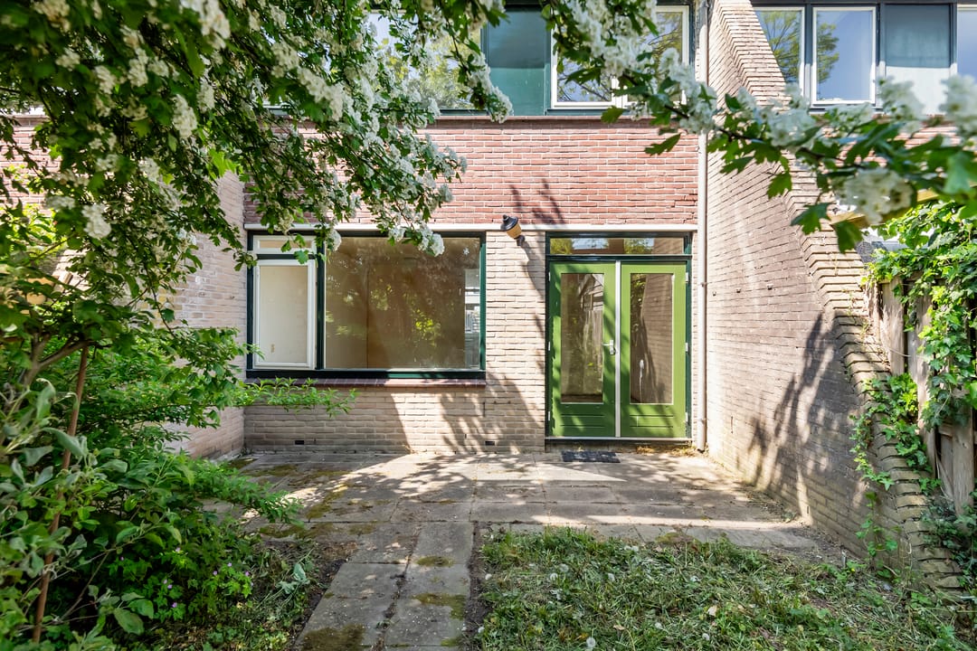 Foto 28 van Ganzebloem 2