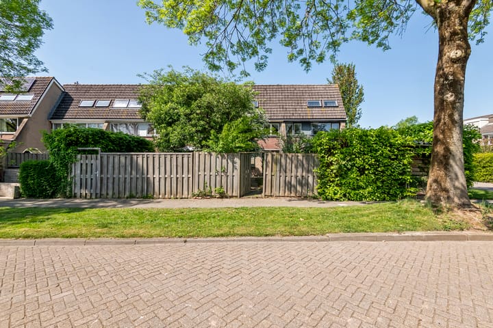 Foto 29 van Ganzebloem 2