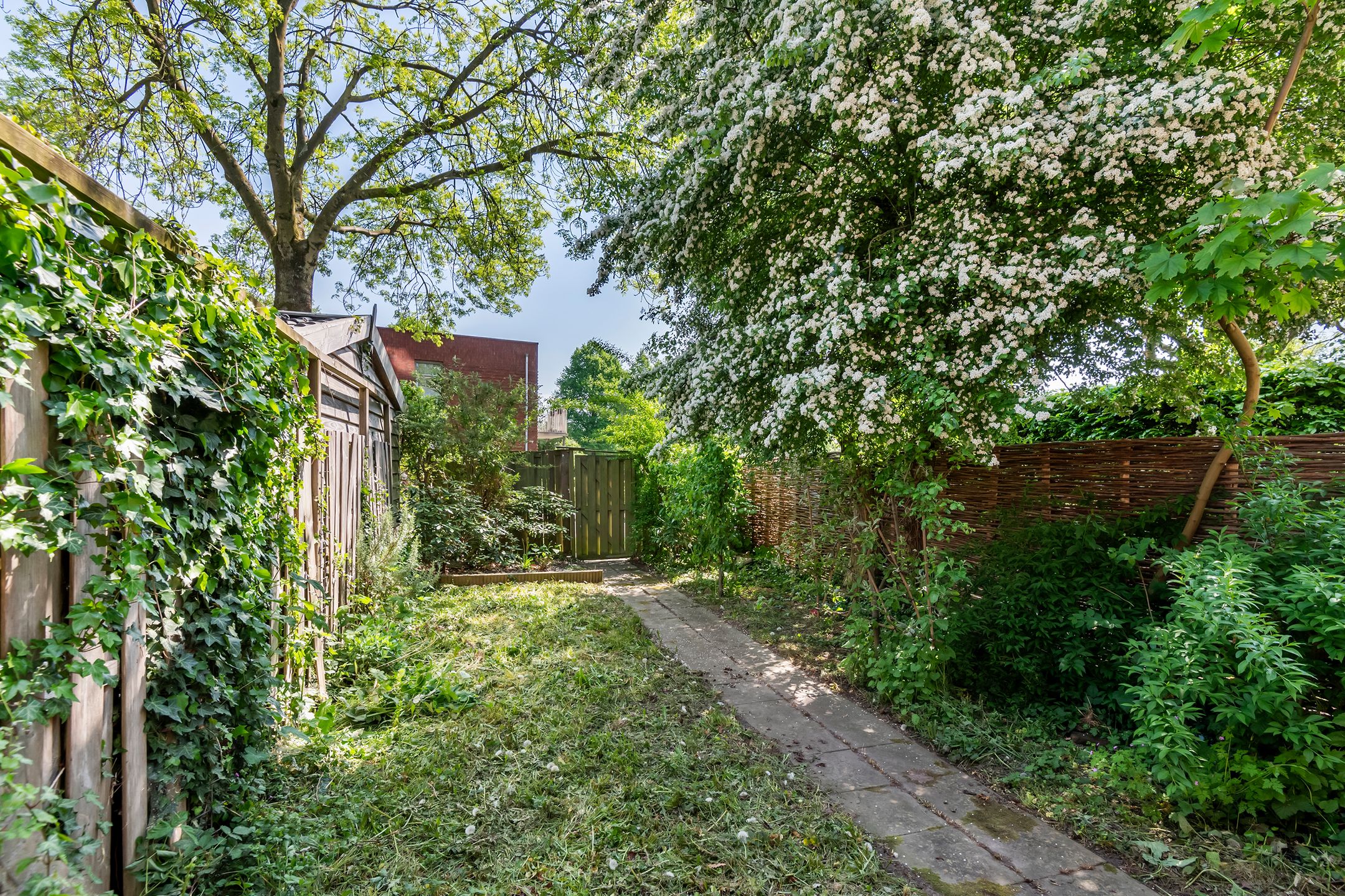 Foto 30 van Ganzebloem 2