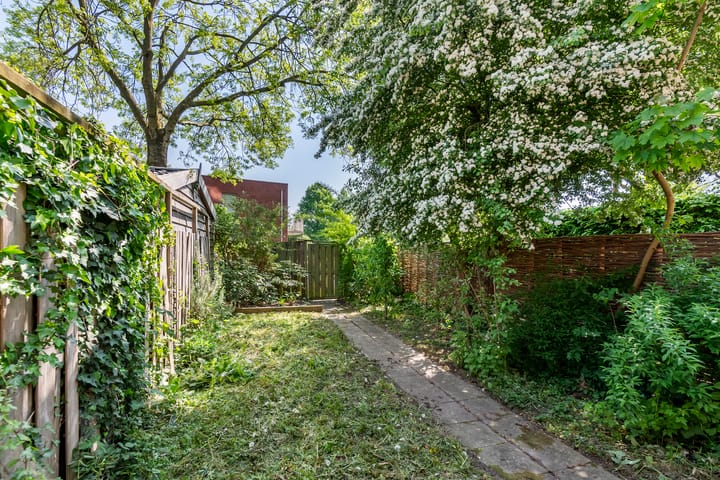 Foto 30 van Ganzebloem 2