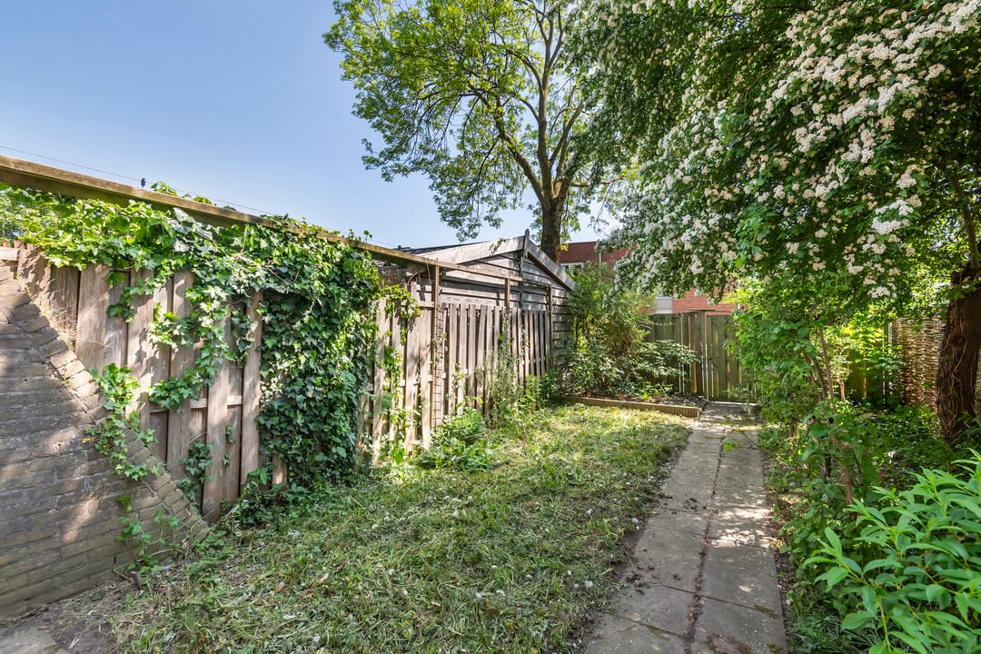 Foto 31 van Ganzebloem 2