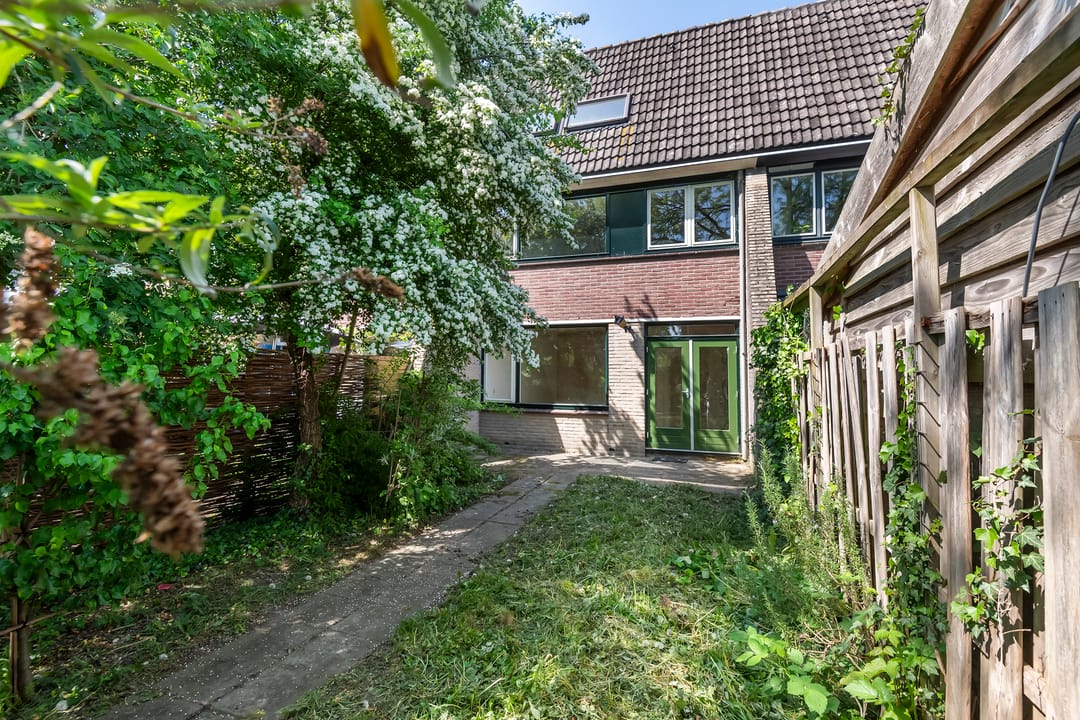 Foto 32 van Ganzebloem 2